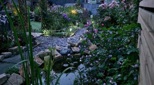 view-images