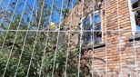 view-images