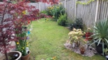 view-images